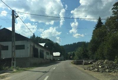 Casa P+E + atelier si anexe, Sadova, jud Suceava - 1