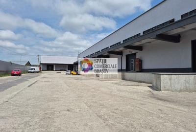 Spațiu industrial, de 300 mp, în Bartolomeu - 6