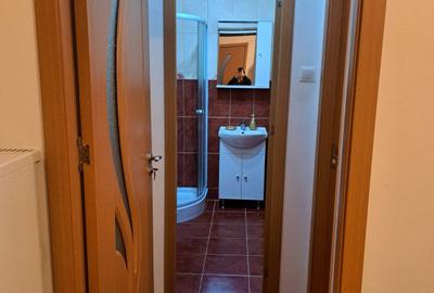 Inchiriere Apartament 2 Camere Renovat Petfriendly Piata Progresul - 10