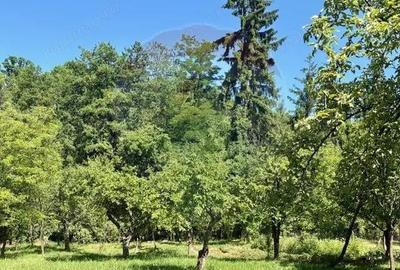 Casa / Vila cu 5 camere de vanzare - 16