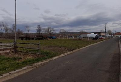 Imobiliare Maxim - intravilan pentru dezvoltatori - 2