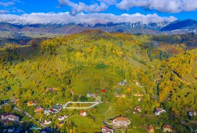 COMISION 0% Teren 1,564mp Moieciu de Jos/ Intravilan - 4
