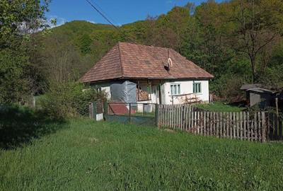 Casă cu 2 camere în Central - 5