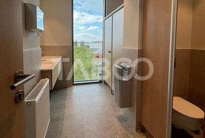 Birouri premium in Sibiu–Spatii flexibile moderne pentru companii TOP - 5