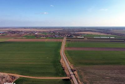 Spațiu comercial, în Nuci - 3