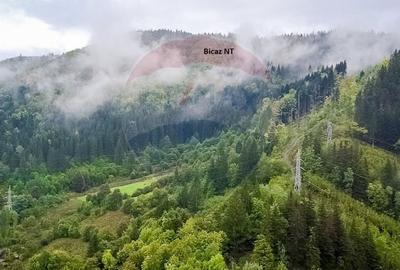 Vanzare Padure 2200 hectare in Romania - 5