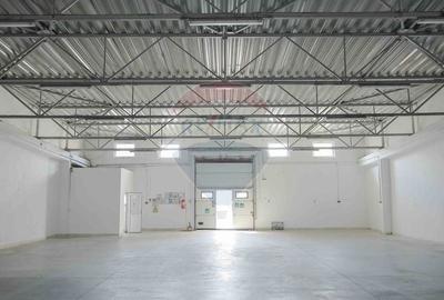 De vanzare Spatiu industrial de 10 129 mp Soseaua Borsului - 6