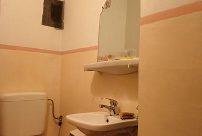 Ap 2 camere, 2 bai, dec, ctr ANAF, Crangasi - Podul Grand - 12