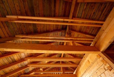 Duplex spatios - oportunitate pentru dezvoltatori sau doua familii - 50