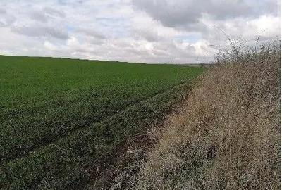 Teren extravilan Tiganasi, cota parte 1/5, ID: R2822453 - 5