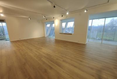 ION MIHALACHE - Piata Chibrit inchiriere/vanzare spatiu show-room 1150 mp - 1