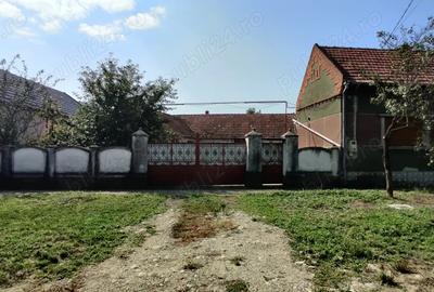 Casa gospodarie in Belint - 8