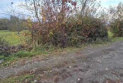Teren de 2629 mp, în Unio - 3