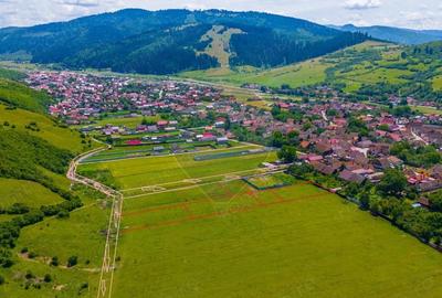 Teren de 612 mp, în Zizin - 8