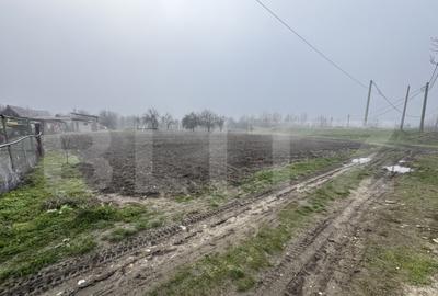 Teren de 2000 mp, în Abator