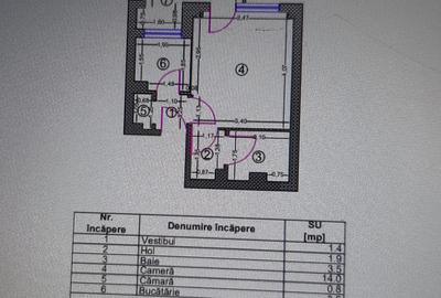 Tineretului,Metrou 10 Min,Radulescu Motru,et 1,NECESITA RENOVARE INTEGRALA - 6