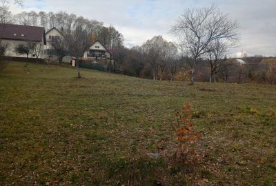 Teren Construcții intravilan de 4062 mp, în Cătunu (Drajna) - 11