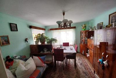 Casa individuala cu teren de 300 mp, front de 13m, cartier Gruia - 4