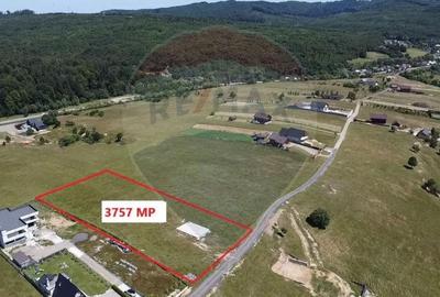 Teren de 3322 mp, în Paltin - 12