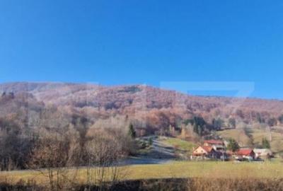 Teren extravilan - Sita Buzaului -6800 mp posibilitate trece - 2