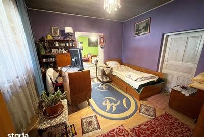 Casă cu 4 camere cu Teren 1527 Mp în Brateș - 14
