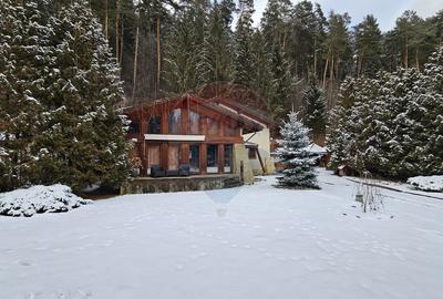 Vilă de lux cu 4 camere de vânzare în Câmpulung Moldovenesc, Suceava - 42