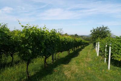 Spațiu comercial, în Ardud - 1