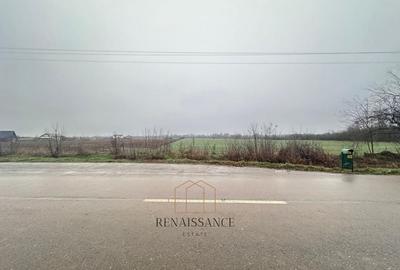 Giroc Teren 30.000mp PUZ APROBAT Pentru Case | Asfalt - Langa Padure - 3