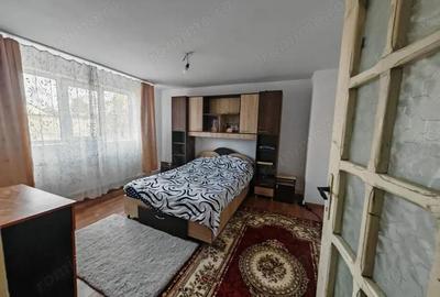 Constructie S+P+1E+M si teren generos 2014 mp, I.L. Caragiale, Dambovita - 12