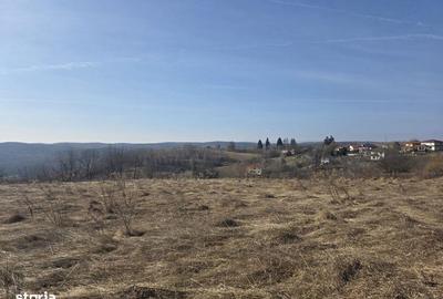 Spațiu comercial, în Feleacu - 4