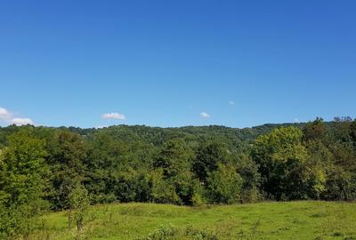 Spațiu comercial, în Provița de Jos - 7