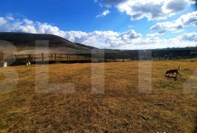 Teren de 49856 mp, în Someșeni