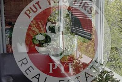 Pajura | 2 camere | 51mp | Semidecomandat | B12809 - 6