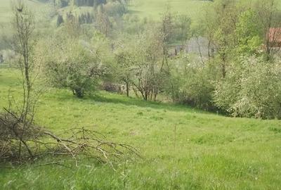 Spațiu comercial, în Vidra - 2