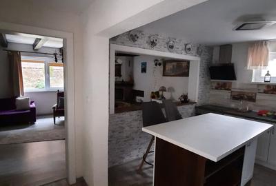 Casa -vila de vanzare, zona turistica, teren 750 mp - 10