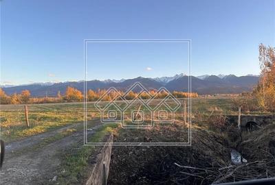 Casa de vanzare in Cartisoara, Transfagarasan - 8 camere, teren 971 mp - 15