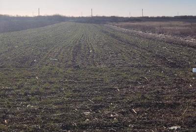 Teren de 830 mp, în Mogoșești - 4