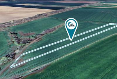 Teren agricol de 1,14 ha in Zimandu Nou Teren agricol de 1,14 ha in Zimandu Nou - 3