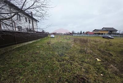 Teren 519mp Dumbrava Rosie / Strada CRANGULUI - 1