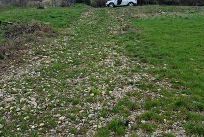 Teren Intravilan | Constructii | 734 mp | Baia Mare | Strada Miron Costin - 2