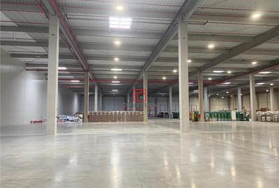 Depozit/hala/spatiu industrial Constanta - Agigea, Constant - 1