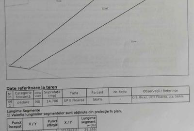 Teren de 14700 mp, în Bicazu Ardelean - 1
