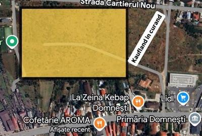 Spațiu comercial, în Domnești - 6