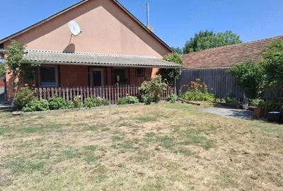 Proprietate mixta de vanzare in Nadlac Casa moderna + hala/grajd + teren mare - 16