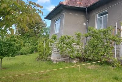 Casa de vanzare 100 m2 +teren 1200m2 toate utilita?ile - 9