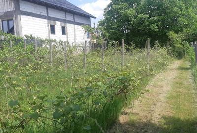 Spațiu comercial, în Bariera Vâlcii - 2