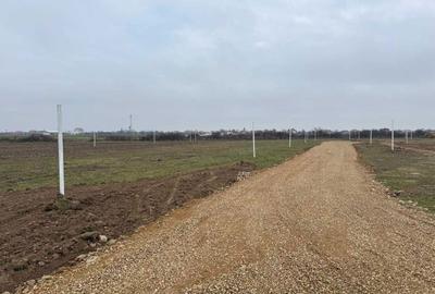 Spațiu comercial, în Leș - 4