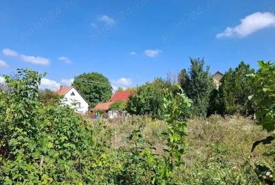 Casa de vanzare la 17 km de ORADEA langa granita - 10