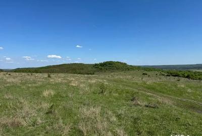 Teren de 480000 mp, în Prunișor - 10