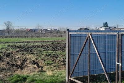 Teren de 7000 mp, în Brătășanca - 10
